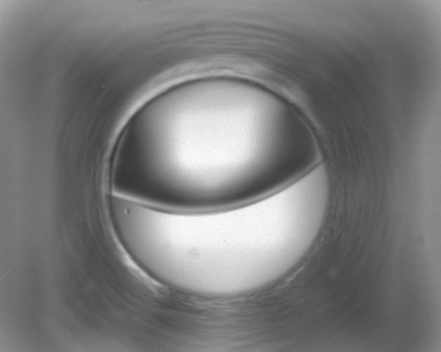 X0000082941516200702011059
