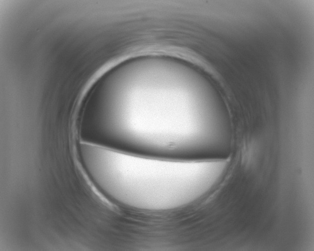 X0000082941517200702011059