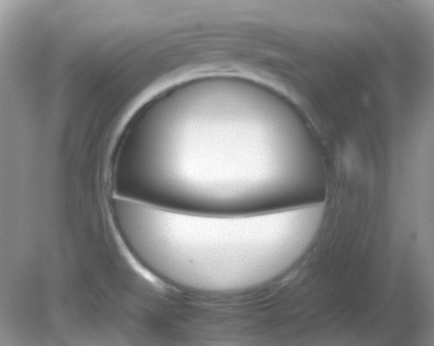 X0000082941519200702011059