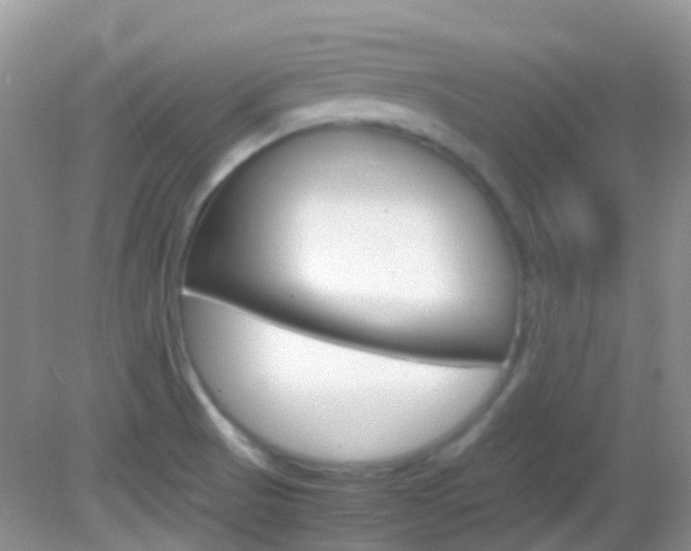 X0000082941521200702011059