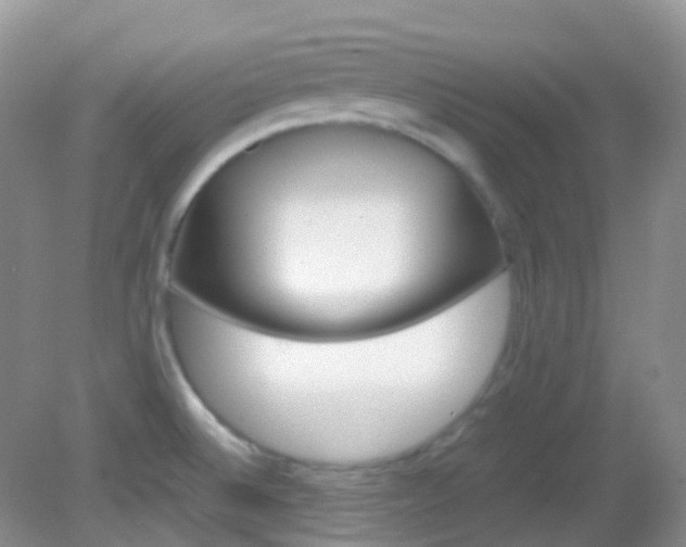 X0000082941524200702011059