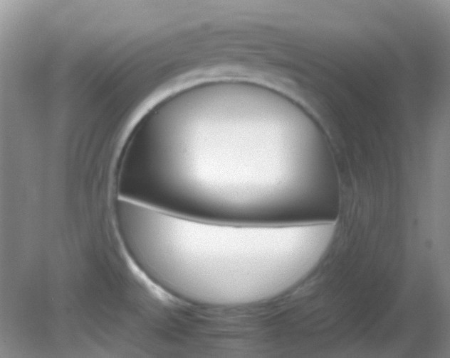 X0000082941527200702011059