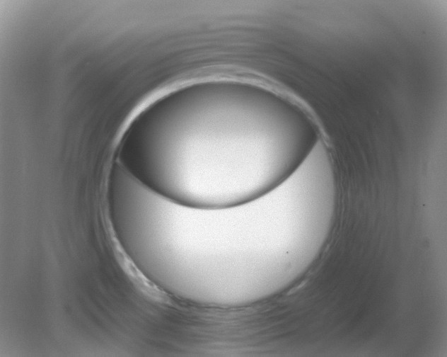 X0000082941530200702011059