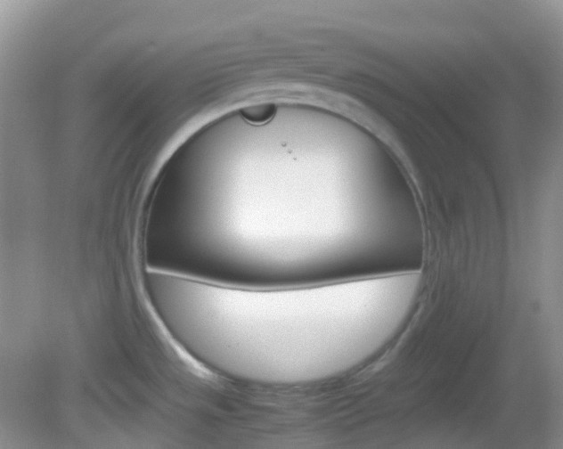 X0000082941533200702011059