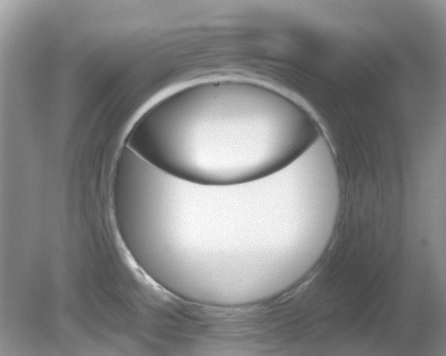 X0000082941534200702011059