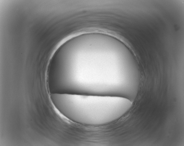 X0000082941535200702011059