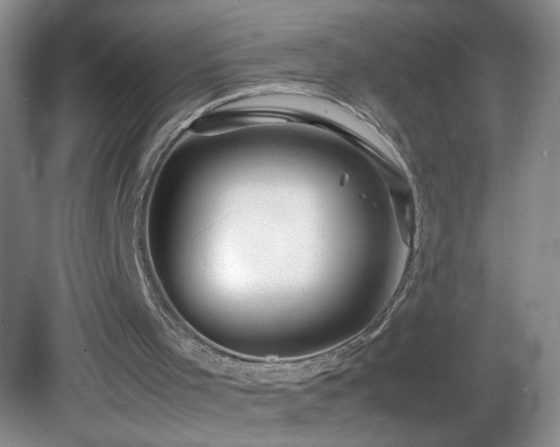 X0000082940001200702011318