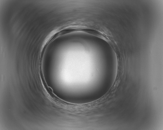 X0000082940003200702011318