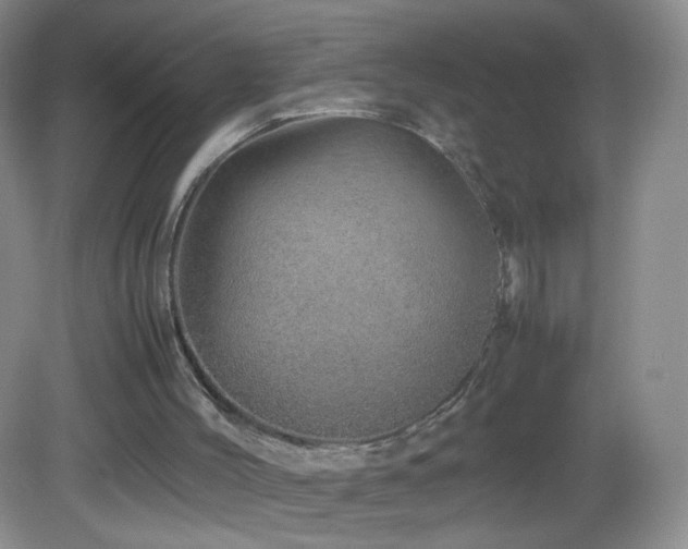 X0000082940004200702011318