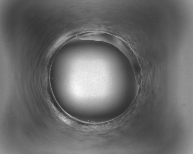 X0000082940005200702011318