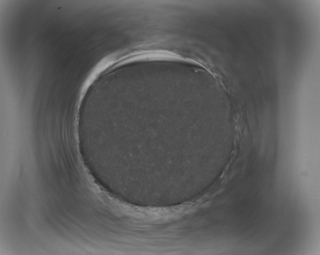 X0000082940006200702011318