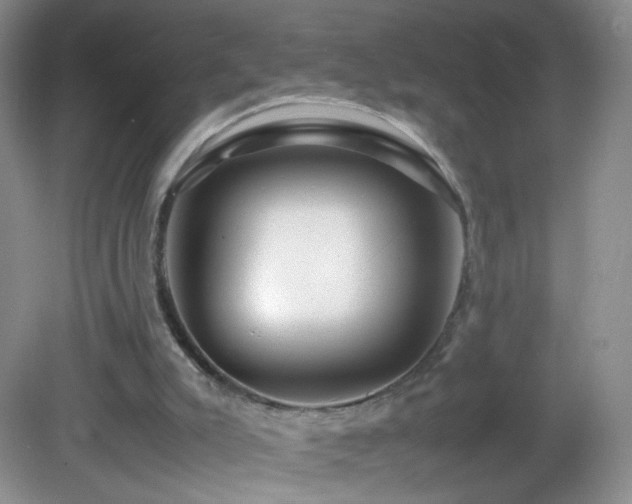 X0000082940007200702011318