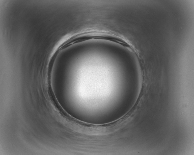 X0000082940008200702011317