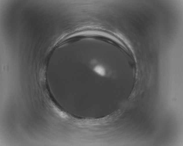 X0000082940009200702011317