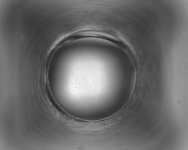 X0000082940011200702011317