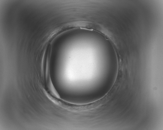 X0000082940013200702011317