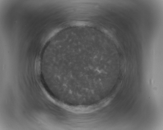 X0000082940016200702011317