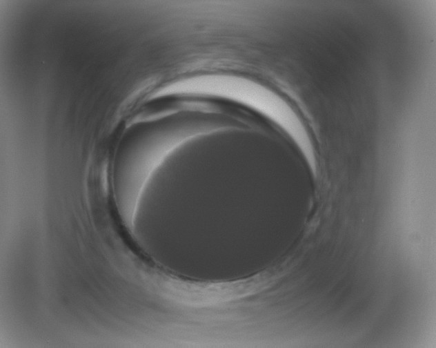 X0000082940019200702011317