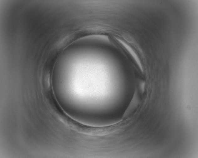 X0000082940021200702011317