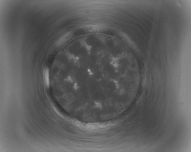 X0000082940022200702011317