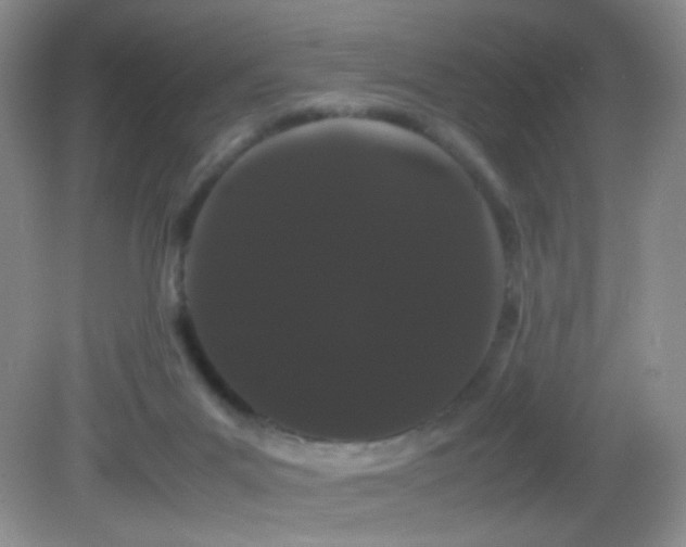 X0000082940023200702011317