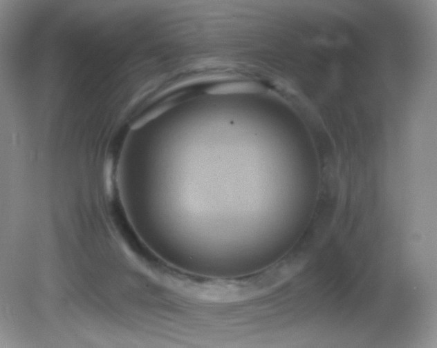 X0000082940024200702011317