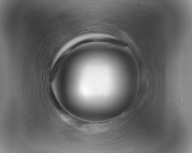 X0000082940025200702011317
