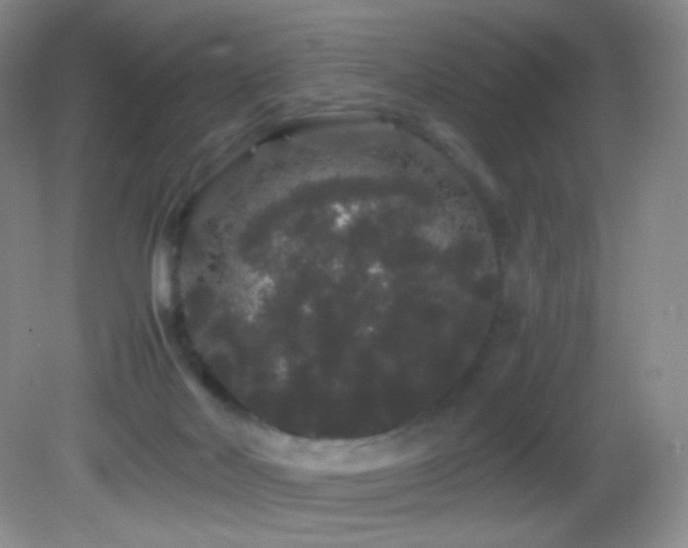 X0000082940026200702011317