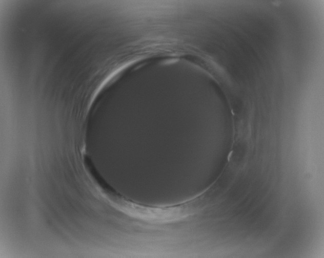X0000082940027200702011317
