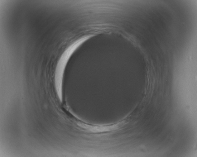 X0000082940031200702011317
