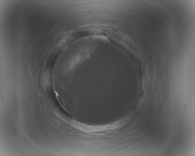 X0000082940035200702011317
