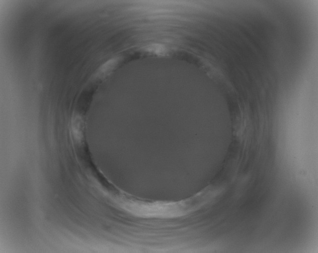 X0000082940036200702011317