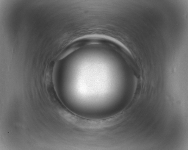 X0000082940037200702011317