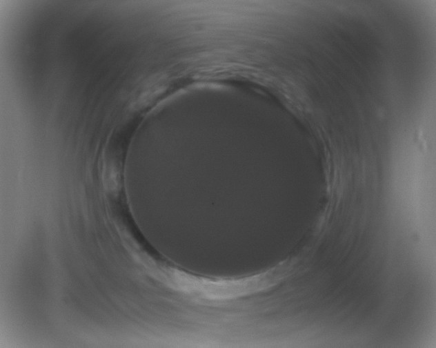 X0000082940039200702011317