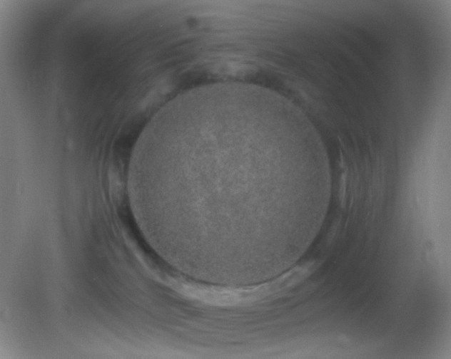 X0000082940040200702011317