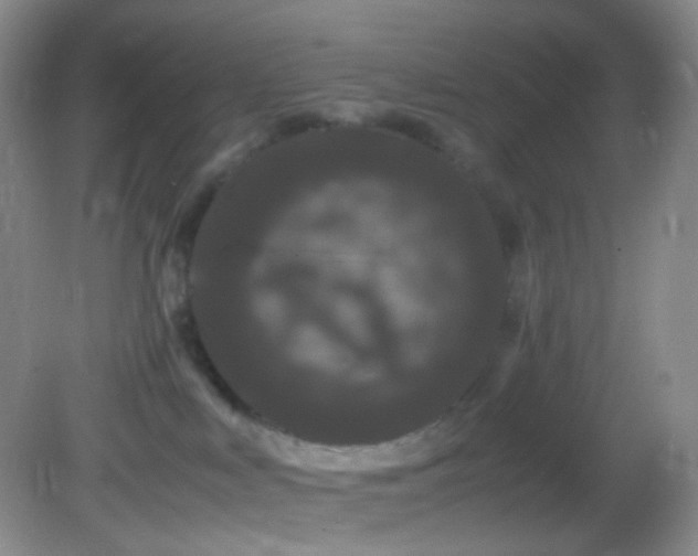 X0000082940043200702011317