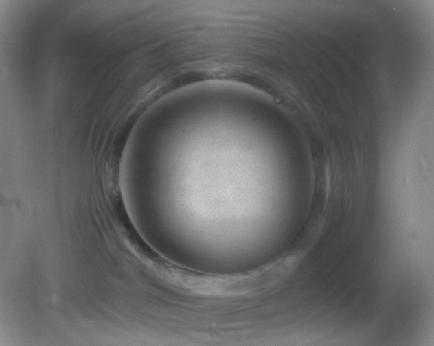 X0000082940044200702011317