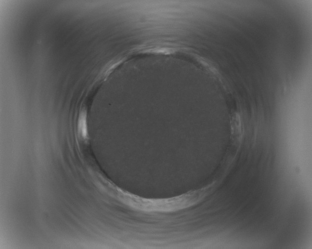 X0000082940046200702011317