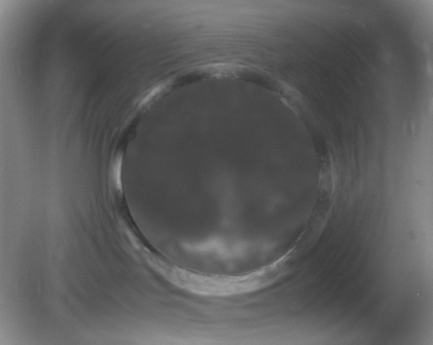X0000082940047200702011317