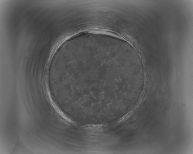 X0000082940049200702011316