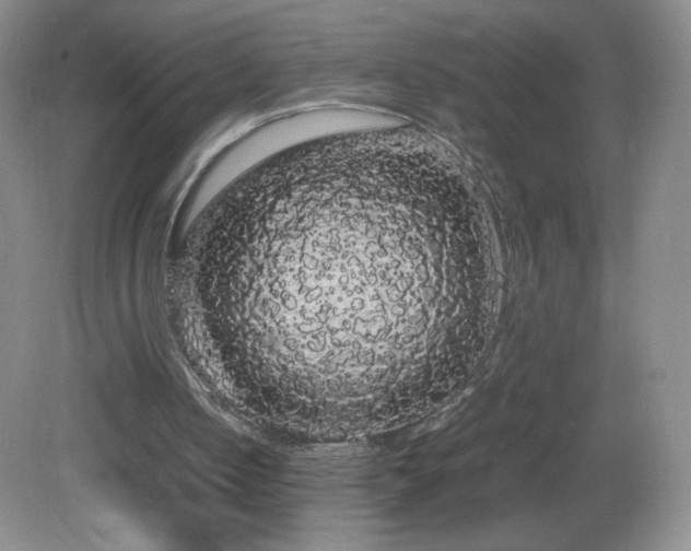 X0000082940050200702011316
