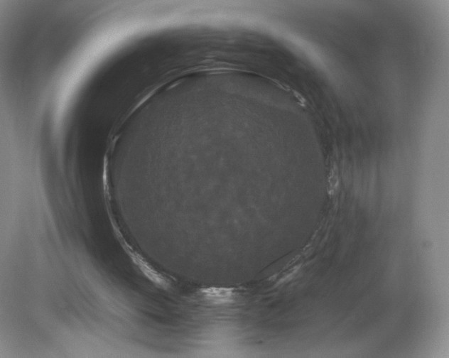 X0000082940052200702011316