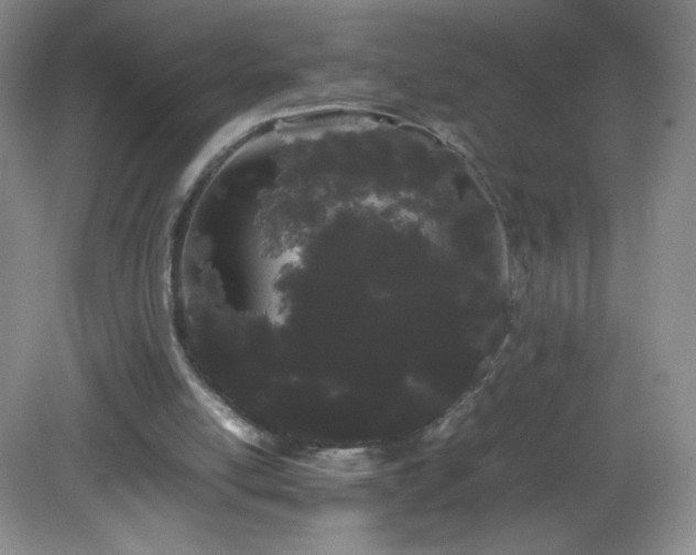 X0000082940054200702011316