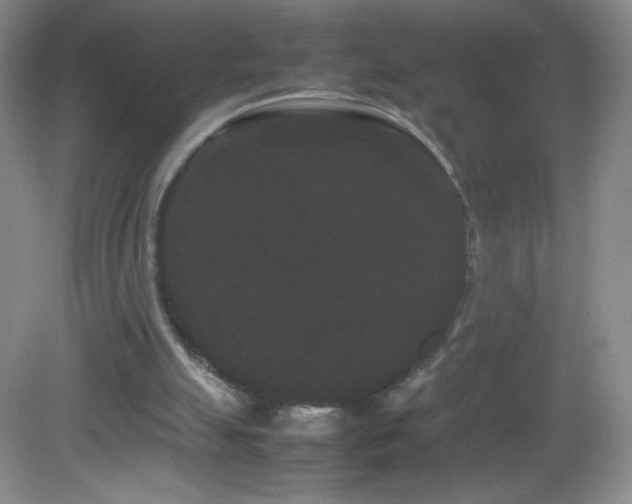 X0000082940055200702011316
