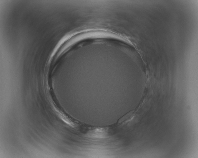 X0000082940056200702011316