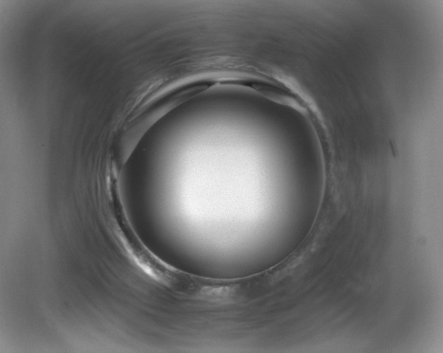 X0000082940057200702011316