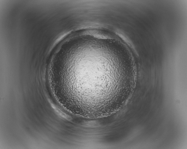 X0000082940058200702011316