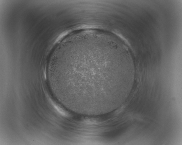X0000082940062200702011316