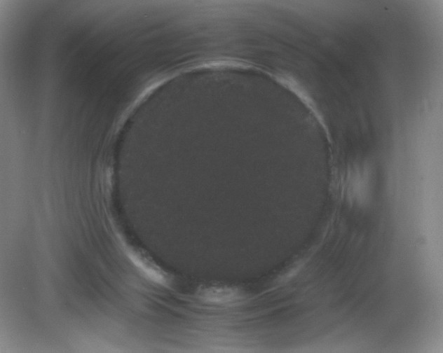 X0000082940063200702011316