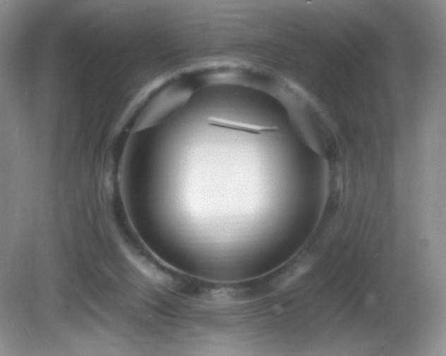 X0000082940064200702011316